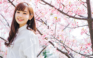 クリエイティブ・プロモーション領域のイメージ